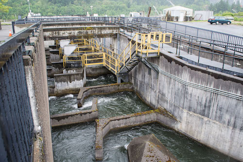 U.S. Department of Energy announces $2.4 million in funding for fish passage technologies research programs