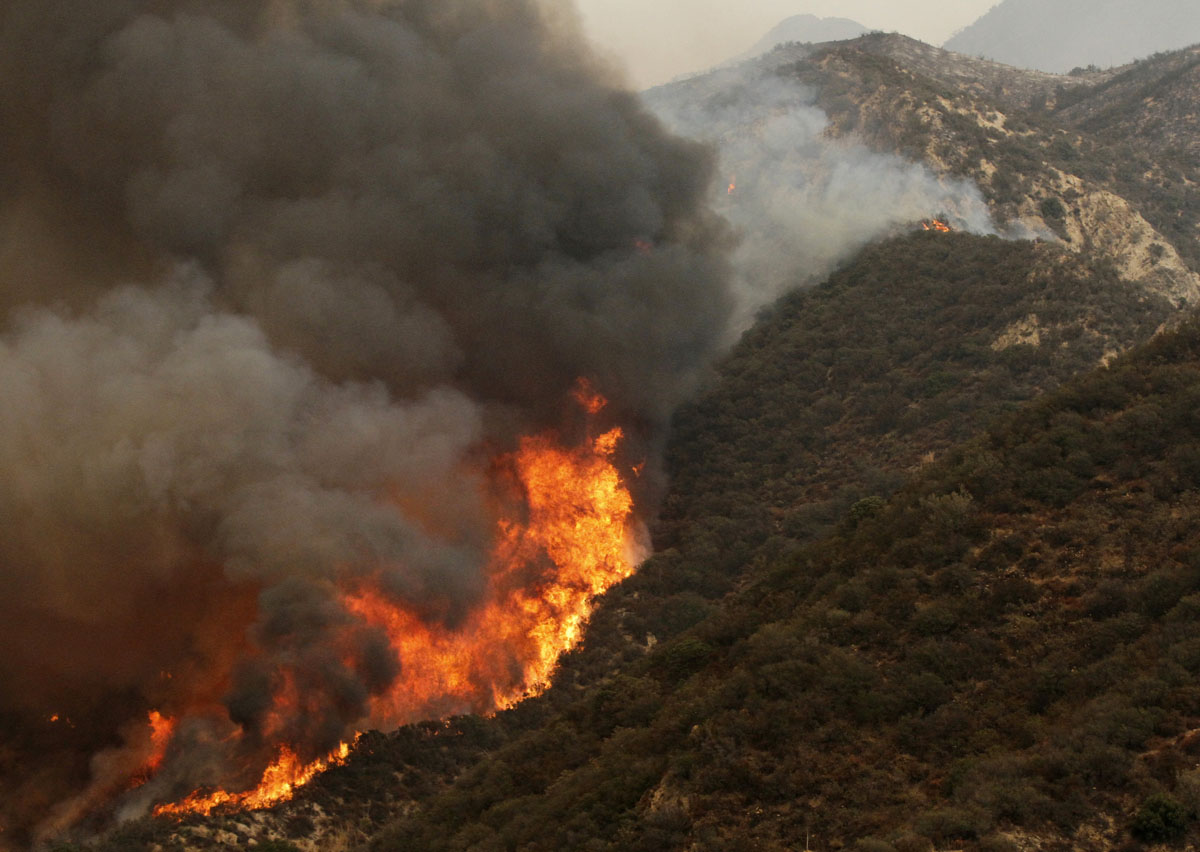 Former TVA CEO Johnson taking reins at bankrupt PG&E