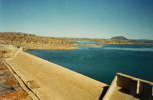 Ecologists work to identify flora and fauna at Pioneer-Burdekin pumped hydro project site