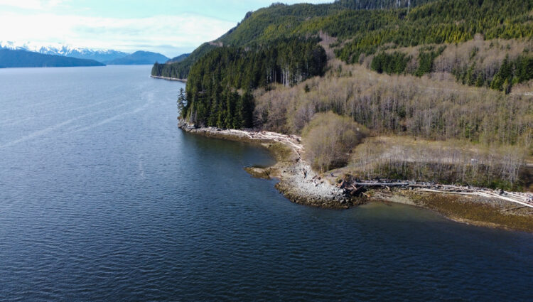 Decision made to invest in Canadian floating LNG project powered by hydroelectricity