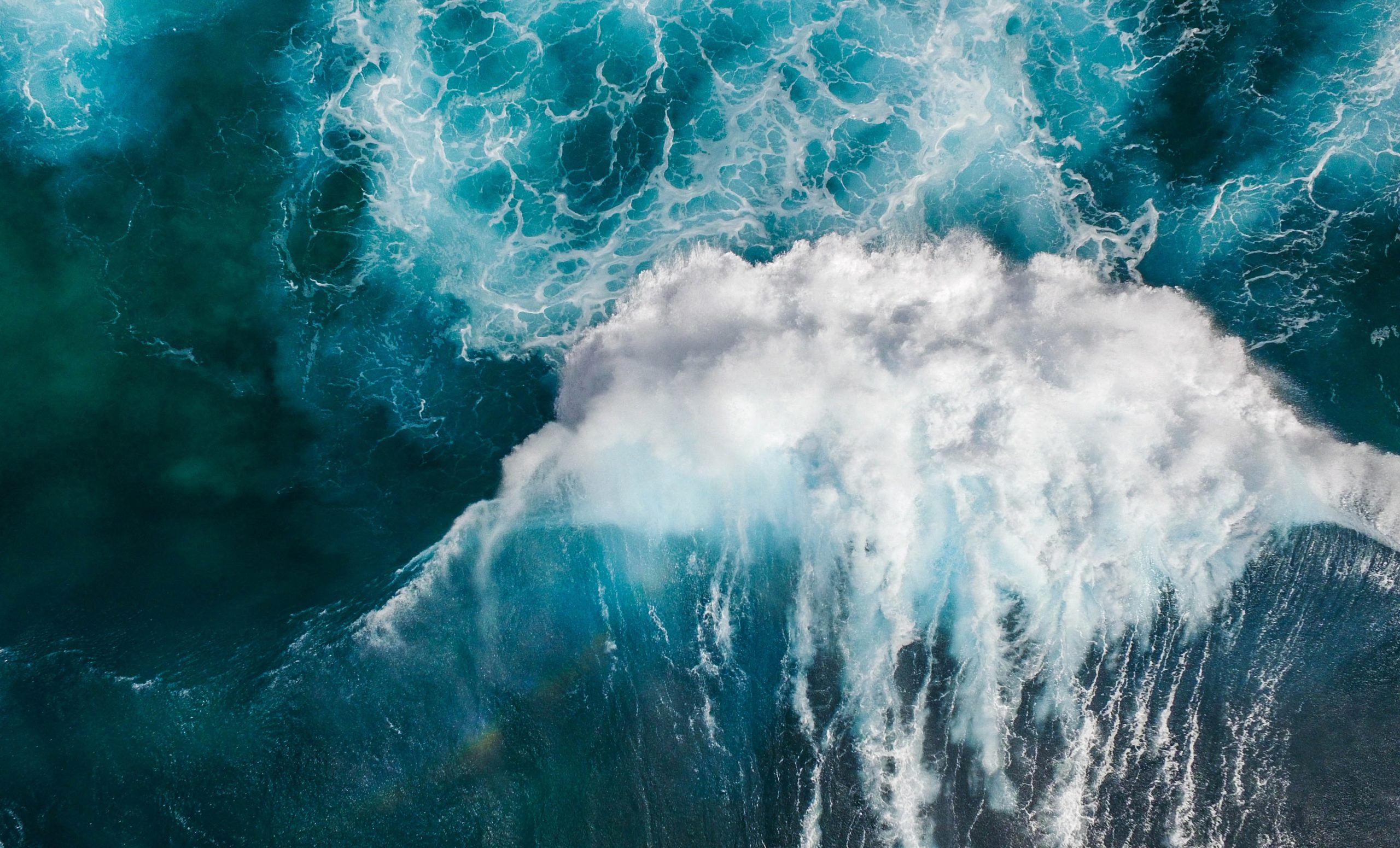 13 companies join council to advance marine energy in the UK