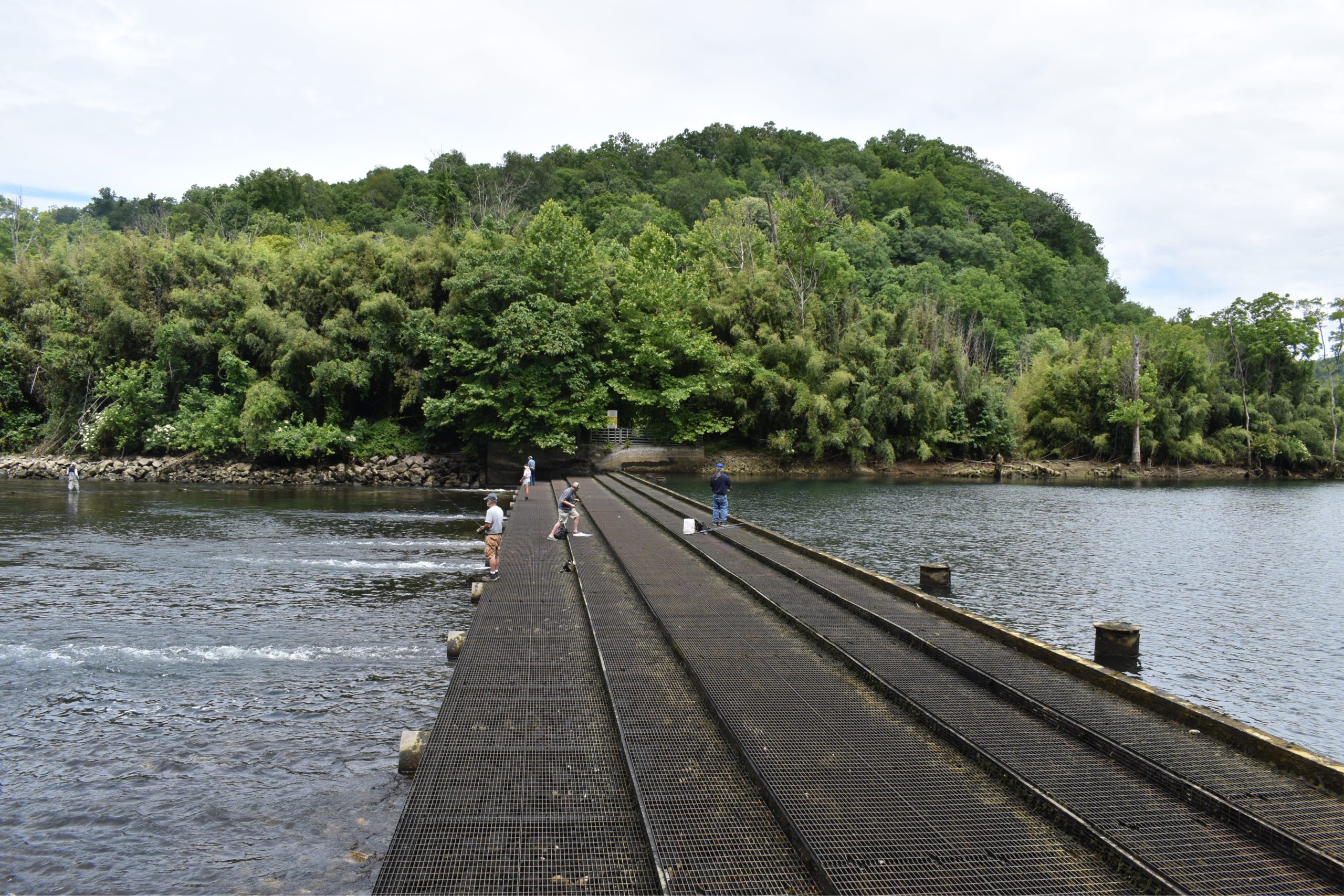 Hydro Review: Rehabilitating Hibbs Island to Preserve Norris Dam Environmental Flows