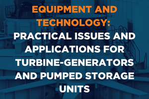 HYDRO+ Series™️ | Practical Issues and Applications for Turbine-Generators and Pumped Storage Units